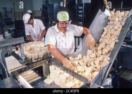 SYRACUSE, NEW YORK, USA, 1986 - Arbeiter in der Käsefabrik. Stockfoto