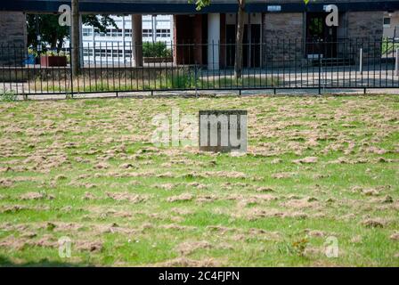 Kein Fußball Zeichen im Feld von Gras Glasgow City Centre Schottland Vereinigtes Königreich graue Betonplatte in kürzlich geschnittenem Grasfeld Warnung Bestellung errichtet Stockfoto