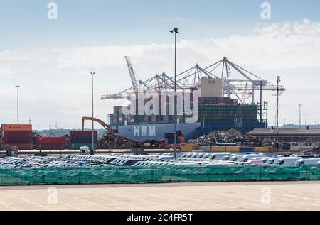 Southampton, England, Großbritannien. Juni 2020. Das neue HMM OSLO Schiff wird bei seinem ersten Besuch in Großbritannien entladen und liegt an DP World Southampton Liegeplatz SCT5. Das Schiff wurde 2020 gebaut und ist eines der größten Containerschiffe der Welt, Port of Southampton, England, Großbritannien Stockfoto