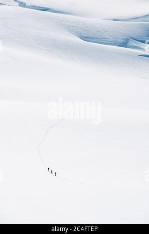 Drei Langläufer wandern durch die Eisfelder der Saint Elias Mountains, Kluane National Park, Yukon Territory, Kanada. Stockfoto