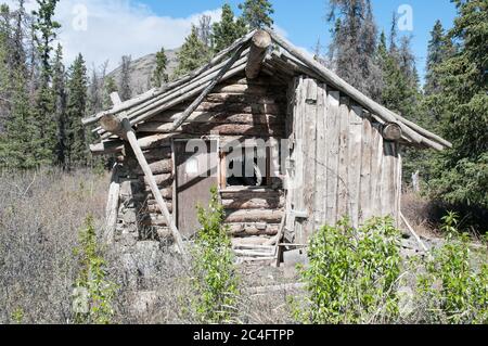 Eine verlassene historische Klondike Gold Rush Ära Wildnis Prospektor Log Cabin Kluane National Park, Yukon Territory, Kanada. Stockfoto