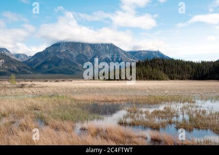 Eine boreale Mündung und Feuchtgebiet an der Mündung des Slims River Valley, Kluane National Park, Yukon Territory, Kanada. Stockfoto