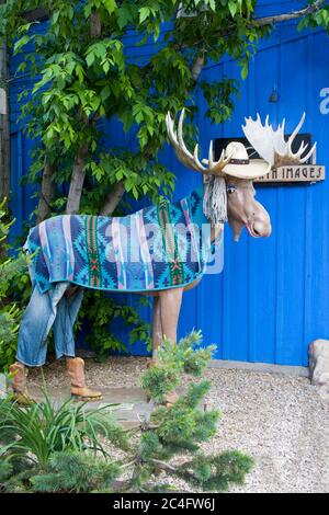 'Loosey' The Moose an der Main Street, Park City, Utah, USA, Nordamerika Stockfoto