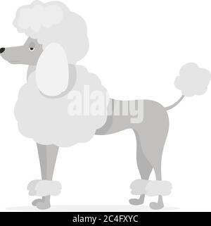 Weißer Pudel, Illustration, Vektor auf weißem Hintergrund Stock Vektor