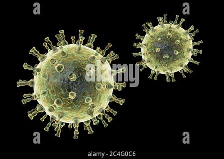 Computer Illustration ein Varizellen Zoster Virus-Partikel, die Ursache von Windpocken und Gürtelrose. Varizella-Zoster-Virus ist auch bekannt als menschliches Herpes-Virustyp 3 (HHV-3). Stockfoto