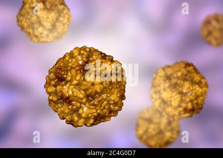 Enteroviren, Computerdarstellung. Enterovirus ist eine Gattung von positiv-sense RNA-Viren der Familie Picornaviridae. Sie waren ursprünglich classifi Stockfoto