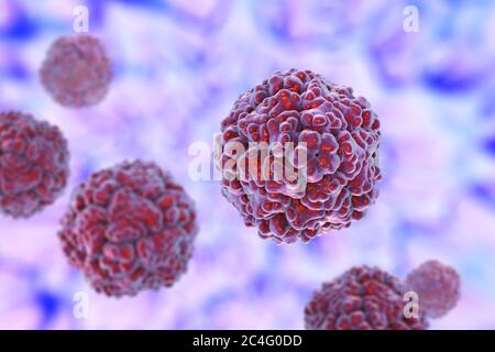 Enteroviren, Computerdarstellung. Enterovirus ist eine Gattung von positiv-sense RNA-Viren der Familie Picornaviridae. Sie waren ursprünglich classifi Stockfoto