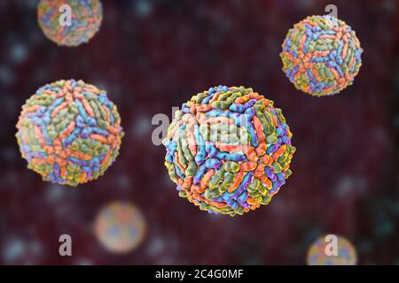 West-Nil-Viruspartikel, Computer Bild. West-Nil-Virus (WNV) ist bekannt, Enzephalitis beim Menschen verursachen. Die WNV gehört zu den Flavivirus, welche sind RNA (Ribonukleinsäure) Viren, die von einer äußeren Protein-Hülle umgeben sind. WNV wird durch Mücken übertragen und befällt sowohl Menschen als auch Tiere. Symptome reichen von leichtem Fieber zu spontanen Blutungen der Haut und der Kreislauf Versagen, die oft tödlich sind. Stockfoto