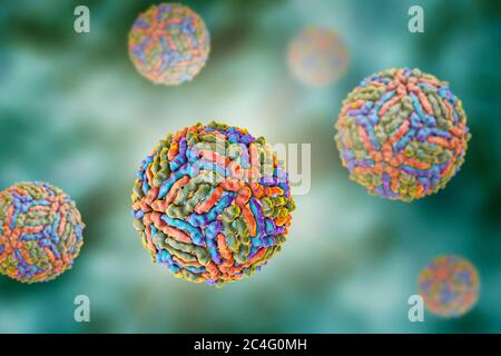 West-Nil-Viruspartikel, Computer Bild. West-Nil-Virus (WNV) ist bekannt, Enzephalitis beim Menschen verursachen. Die WNV gehört zu den Flavivirus, welche sind RNA (Ribonukleinsäure) Viren, die von einer äußeren Protein-Hülle umgeben sind. WNV wird durch Mücken übertragen und befällt sowohl Menschen als auch Tiere. Symptome reichen von leichtem Fieber zu spontanen Blutungen der Haut und der Kreislauf Versagen, die oft tödlich sind. Stockfoto