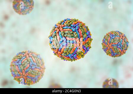 West-Nil-Viruspartikel, Computer Bild. West-Nil-Virus (WNV) ist bekannt, Enzephalitis beim Menschen verursachen. Die WNV gehört zu den Flavivirus, welche sind RNA (Ribonukleinsäure) Viren, die von einer äußeren Protein-Hülle umgeben sind. WNV wird durch Mücken übertragen und befällt sowohl Menschen als auch Tiere. Symptome reichen von leichtem Fieber zu spontanen Blutungen der Haut und der Kreislauf Versagen, die oft tödlich sind. Stockfoto