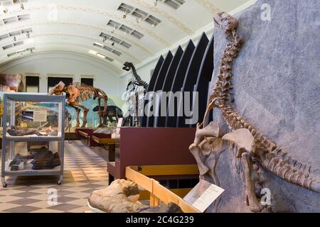 Utah Natural History Museum, University of Utah, Salt Lake City, Utah, USA, Nordamerika Stockfoto