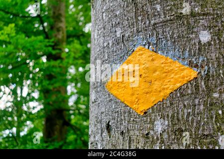 Standard Schweizer Wandermarkierung (gelber Diamant) auf einem Baum gemalt Stockfoto