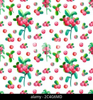 Illustrationen mit Blumenmuster und Aquarellfarben. Bunte Nahtloses Mustertapete mit Ästen, Blättern und Preiselbeeren auf weißem Hintergrund Stockfoto