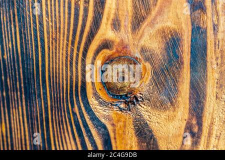 Kiefernholz ausgebrannt. Holzboden Textur Makro Nahaufnahme Stockfoto