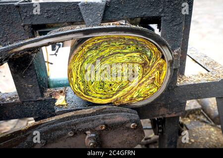 Thai Thuy District, Thai Binh Province, Vietnam - 27. Mai 2020: Dorfbauern, die manuelle Arbeit leisten, sind: Schneiden und Sortieren von Zigaretten in Thai Thuy DIS Stockfoto