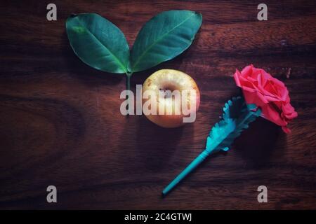 Roter Apfel mit Rose Stockfoto