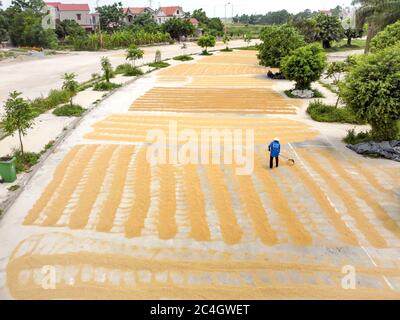 Yen Dung, Provinz Bac Giang, Vietnam - 11. Jun 2020: Bild eines Bauern, der Reis trocknet. Blick von oben Stockfoto