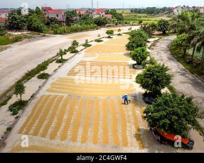 Yen Dung, Provinz Bac Giang, Vietnam - 11. Jun 2020: Bild eines Bauern, der Reis trocknet. Blick von oben Stockfoto