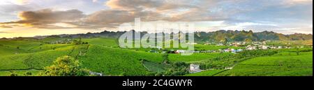 MOC Chau Tea Hill, Son La Provinz, Vietnam - Übersicht über MOC Chau Tea Hill in Son La Provinz, Vietnam Blick von oben Stockfoto