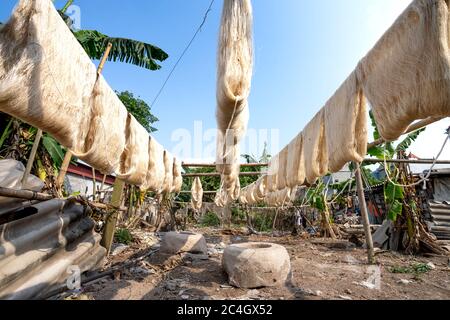 Trocknen goldene Seide unter der Sonne in Co Chat Seidendorf, Nam Dinh, Vietnam Stockfoto