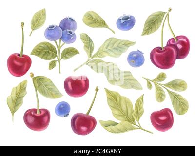Aquarell-Set aus Kirschen, Heidelbeeren und Blättern auf dem hellen Hintergrund. Helle Aquarell-Illustration von Beeren. Stockfoto