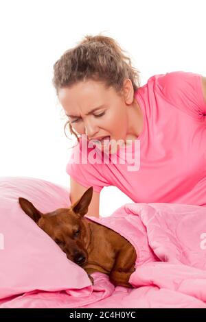 Nervöses Mädchen, das ihren kleinen Hund anruft, der in ihrem Bett schläft Stockfoto