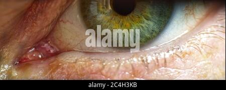 Haselfarbenes Auge im Makro Stockfoto