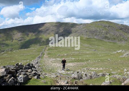 Fiel Läufer zwischen Hart Crag und Dove Crag auf dem Fairfield Horseshoe im Lake District National Park und UNESCO-Weltkulturerbe Stockfoto