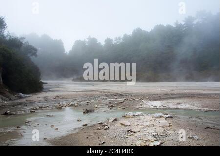 Wai-O-Tapu (Heilige Gewässer) Geothermie vulkanischen Park. Dampfender türkisfarbener See, bunter Vordergrund mit grünem Wald dahinter Stockfoto