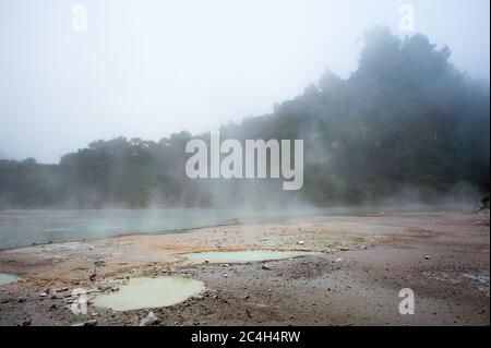 Wai-O-Tapu (Heilige Gewässer) Geothermie vulkanischen Park. Dampfender türkisfarbener See, bunter Vordergrund mit grünem Wald dahinter Stockfoto