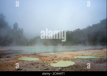 Wai-O-Tapu (Heilige Gewässer) Geothermie vulkanischen Park. Dampfender türkisfarbener See, bunter Vordergrund mit grünem Wald dahinter Stockfoto