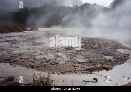 Bratpfanne flach im Waimangu Volcanic Valley, Wai-O-Tapu, Neuseeland. Eruptionskrater übersät mit sprudelnden heißen Quellen und Fumarolen Stockfoto