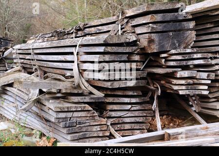 Stämme, Holzbretter, die vor einem Sägewerk trocknen Stockfoto