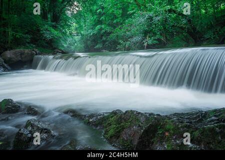 Bergbach im Frühsommer Stockfoto