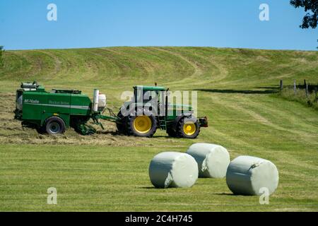 Heuernte, Landwirt mit landwirtschaftlicher Maschine, nimmt gemähtes Heu, das sofort in Ballen gepresst und in Folie verpackt wird, Ballenpresse / Wrapper combinati Stockfoto