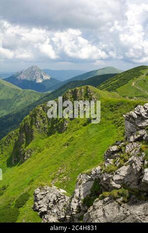 Blick vom Chleb Berg, Velky Rozstutec Berg im Hintergrund, Mala Fatra Gebirge ( Karpaten ), Slowakei, Europa Stockfoto