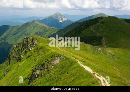 Blick vom Chleb Berg, Velky Rozsutec Berg im Hintergrund, Mala Fatra Gebirge ( Karpaten ), Slowakei, Europa Stockfoto