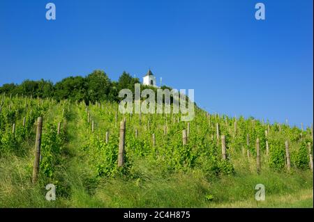 Piramida / Pyramidenhügel, Maribor, Slowenien, Europa - Stadthügel mit Weinberg und kleiner christlicher Kapelle auf der Spitze Stockfoto