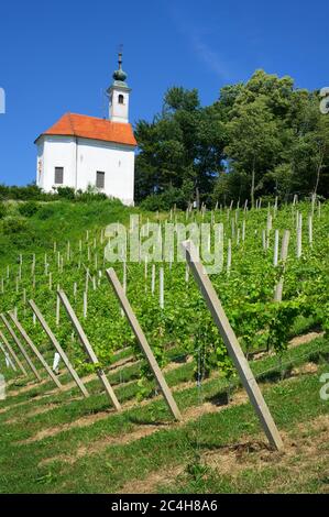 Kalvarija Hügel, Maribor, Slowenien, Europa - Stadthügel mit Weinberg und kleiner christlicher Kapelle / Kirche auf der Spitze. Frühling / Sommer sonnige Zeit. Stockfoto