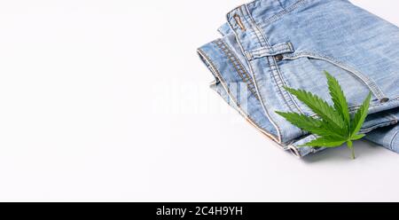 Ein Blatt frischen Hanfs liegt auf Jeans auf weißem Hintergrund isolieren. Cannabis-Konzept bei der Herstellung von Bekleidungsstoff. Stockfoto
