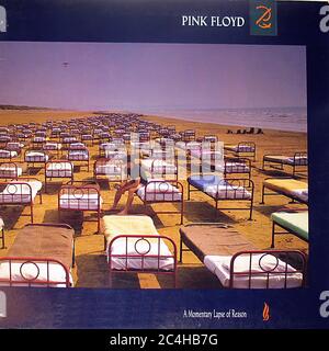 Pink Floyd A Momentary Lapse of Reason 12'' Vinyl LP - Vintage Record Cover Stockfoto