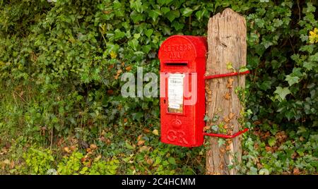 Pfosten montiert, rote Lampe Briefkasten gegen eine grüne Hecke meist Efeu Stockfoto