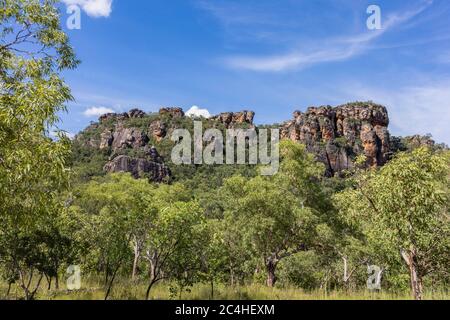 Burrungkuy, Australien - 12. März 2020: Die Klippen von Burrungkuy ragen über dem australischen Regenwald Stockfoto