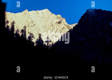 sonnenaufgang auf dem schneebedeckten Berg. Der Berg vorne ist mit Pinien bedeckt. Fokus auf Unendlichkeit. Stockfoto