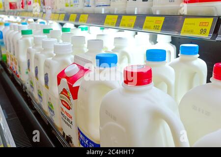 Taipei, Taiwan - 1. JUNI 2020 : verschiedene Milchprodukte im Regal im Kühlschrank eines Supermarkts. Taipeh, Taiwan. Stockfoto