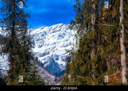 Kiefern auf beiden Seiten des Rahmens und schneebedeckten Berg in der Mitte. Fokus auf Unendlichkeit. Stockfoto