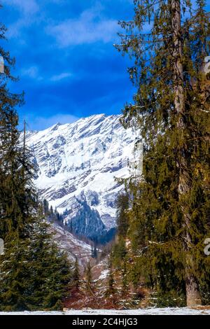 Kiefern auf beiden Seiten des Rahmens und schneebedeckten Berg in der Mitte. Fokus auf Unendlichkeit. Stockfoto