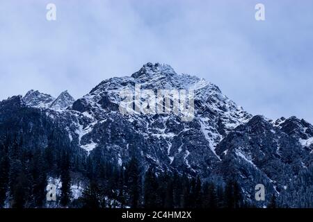 Schneebedeckter Berg mit Pinien am Fuße des Berges. Konzentrieren Sie sich auf Unendlichkeit. Stockfoto
