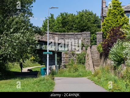 Ein verlassene Abschnitt des Lancaster Canal zwischen Kendal und Natland in Süd-Cumbria Stockfoto