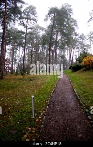 Schöner Weg im Park mit Laternen - zwischen den Kiefern Stockfoto